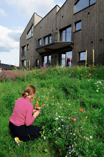 Kvinne plukker blomster foran klimavennlige boliger.
