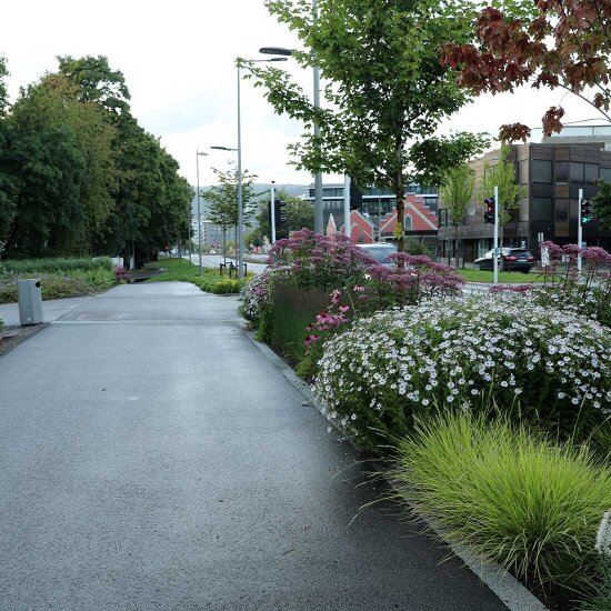 Bjørnstjerne Bjørnsons gate i Drammen