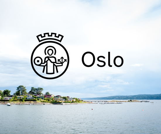 En av øyene i Oslofjorden en lettskyet sommerdag. På øya er det små hytter malt i gult, grønt og grønt. Forslaget til Oslos nye logo er i sort midt på bildet.